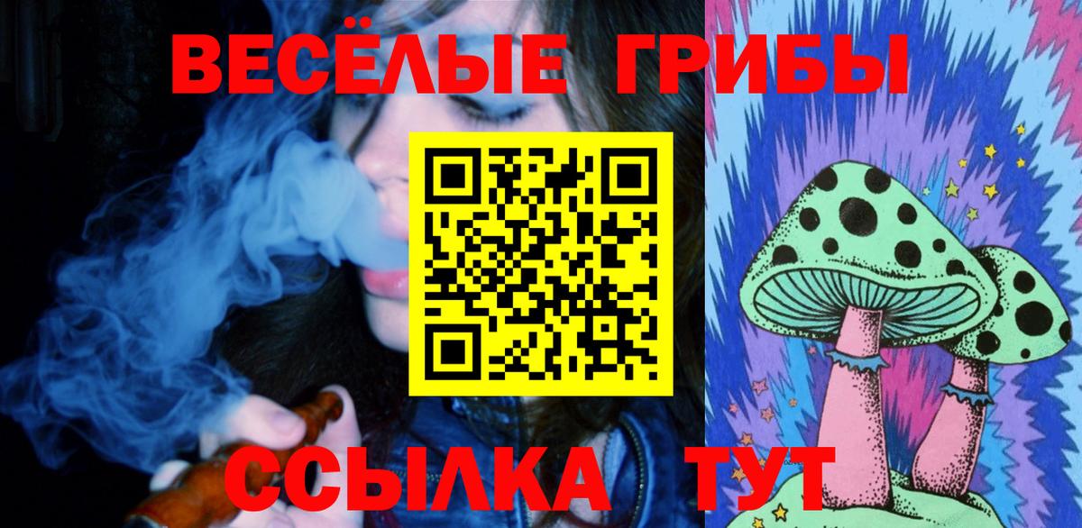 Псилоцибиновые грибы GOLDEN TEACHER Коломна