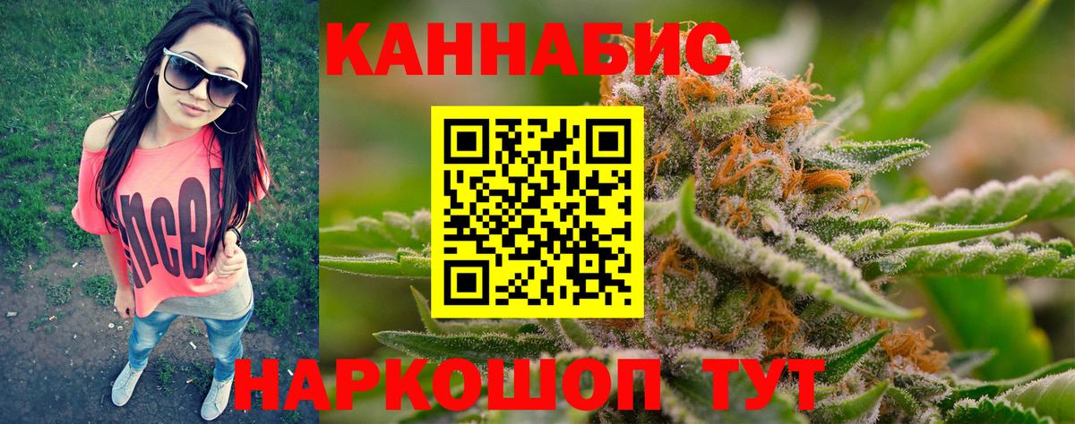 Шишки марихуана семена  Вход с VPN  Бошки Шишки THC 21%  Коломна  Бошки Шишки план  Каннабис VHQ 